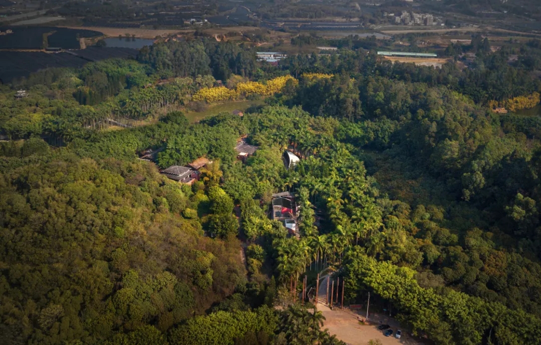 ��ʱ������(�й���)�������ǲ�!