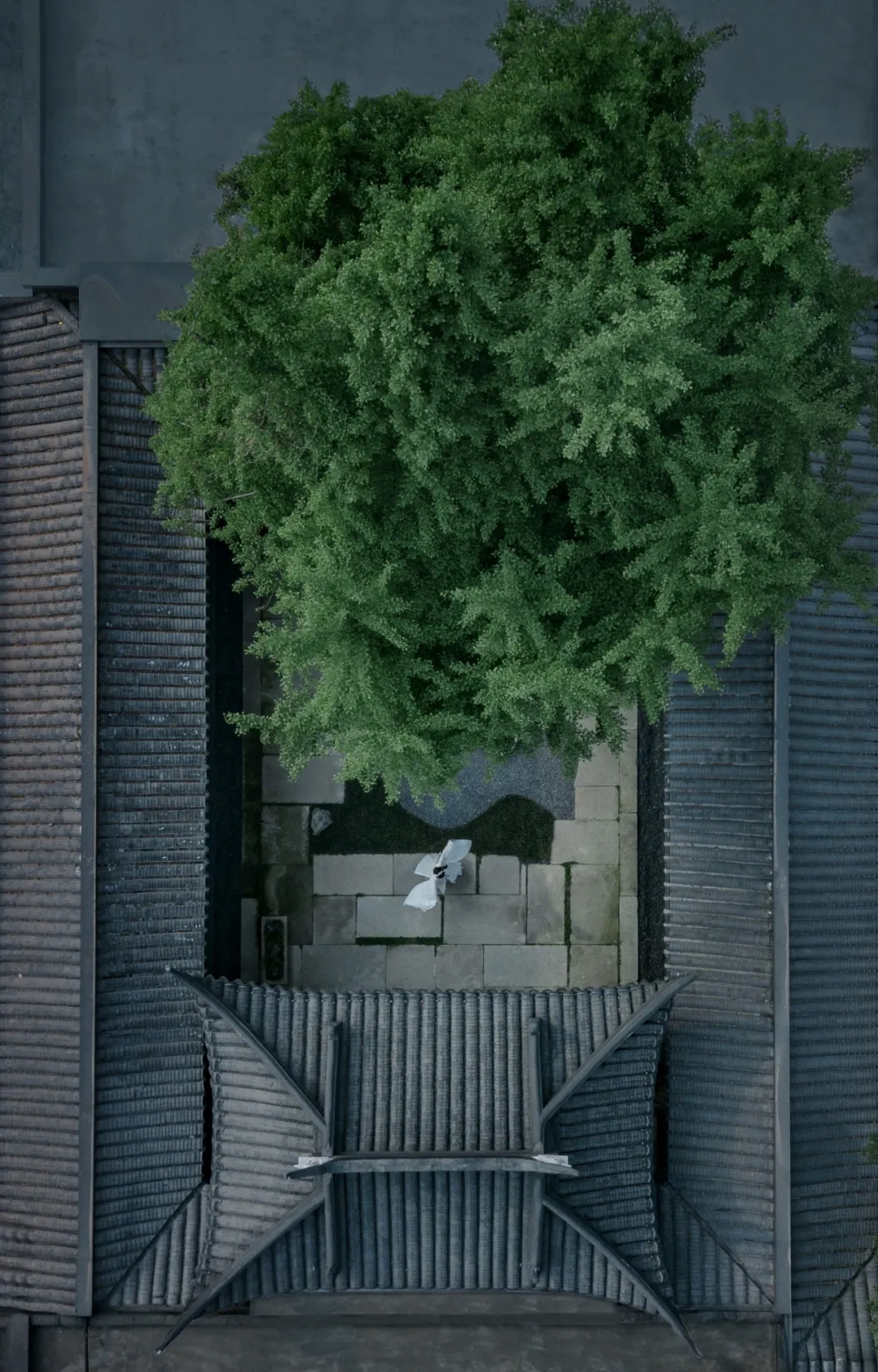 ��ʱ������(�й���)�������ǲ�!