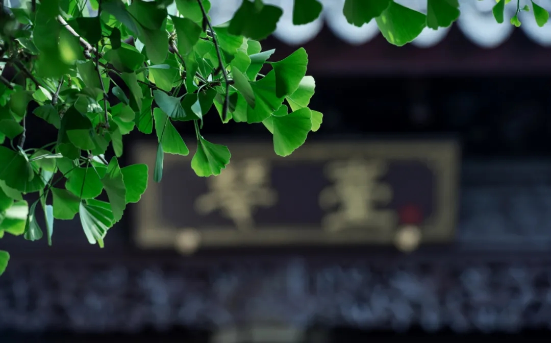 ��ʱ������(�й���)�������ǲ�!