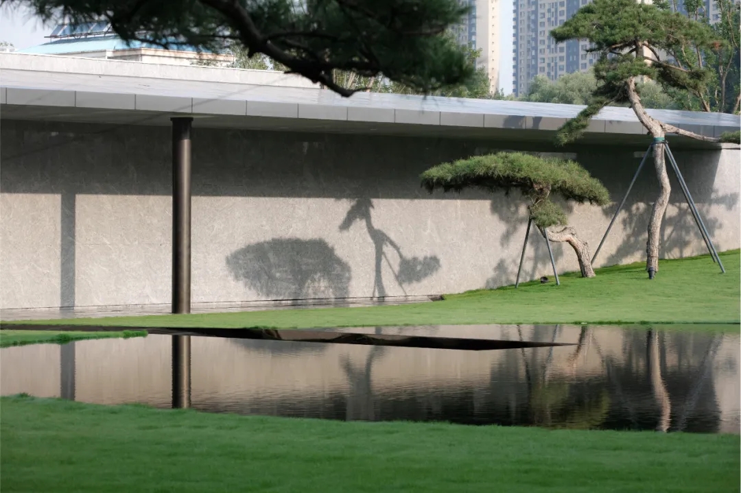 ��ʱ������(�й���)�������ǲ�!