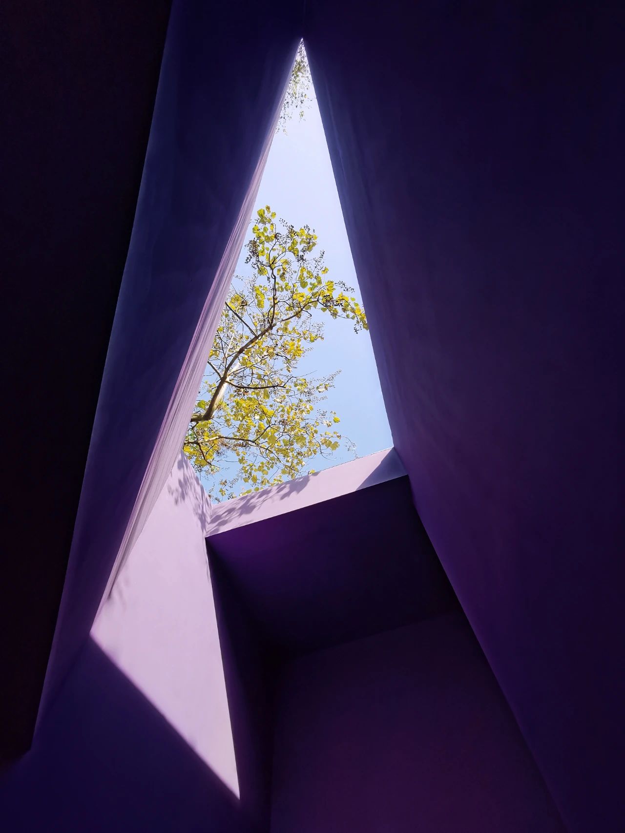 ��ʱ������(�й���)�������ǲ�!