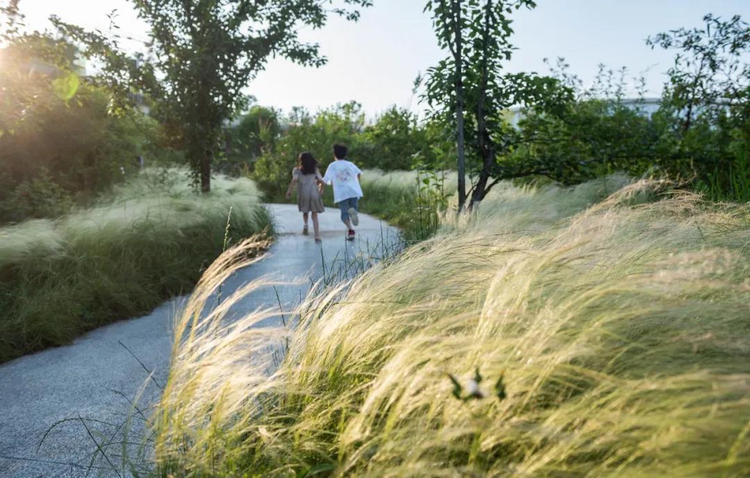 ��ʱ������(�й���)�������ǲ�!