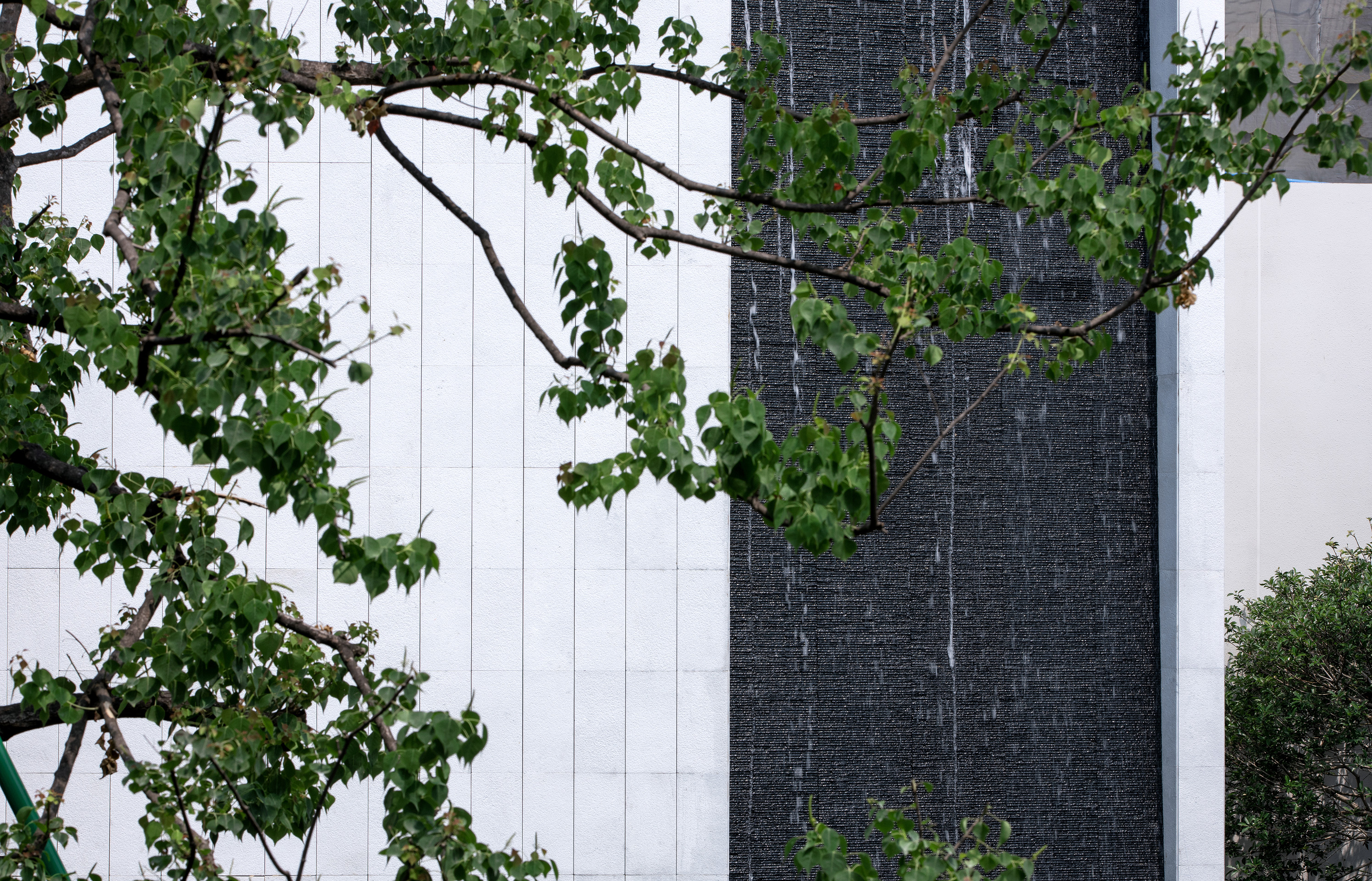 ��ʱ������(�й���)�������ǲ�!