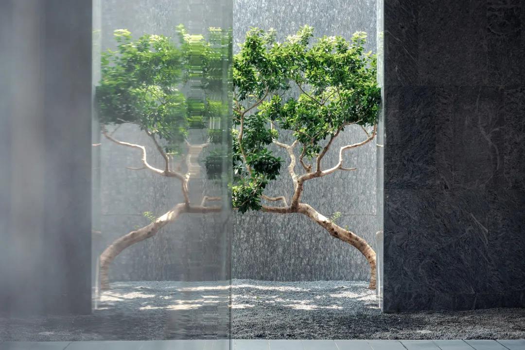 ��ʱ������(�й���)�������ǲ�!