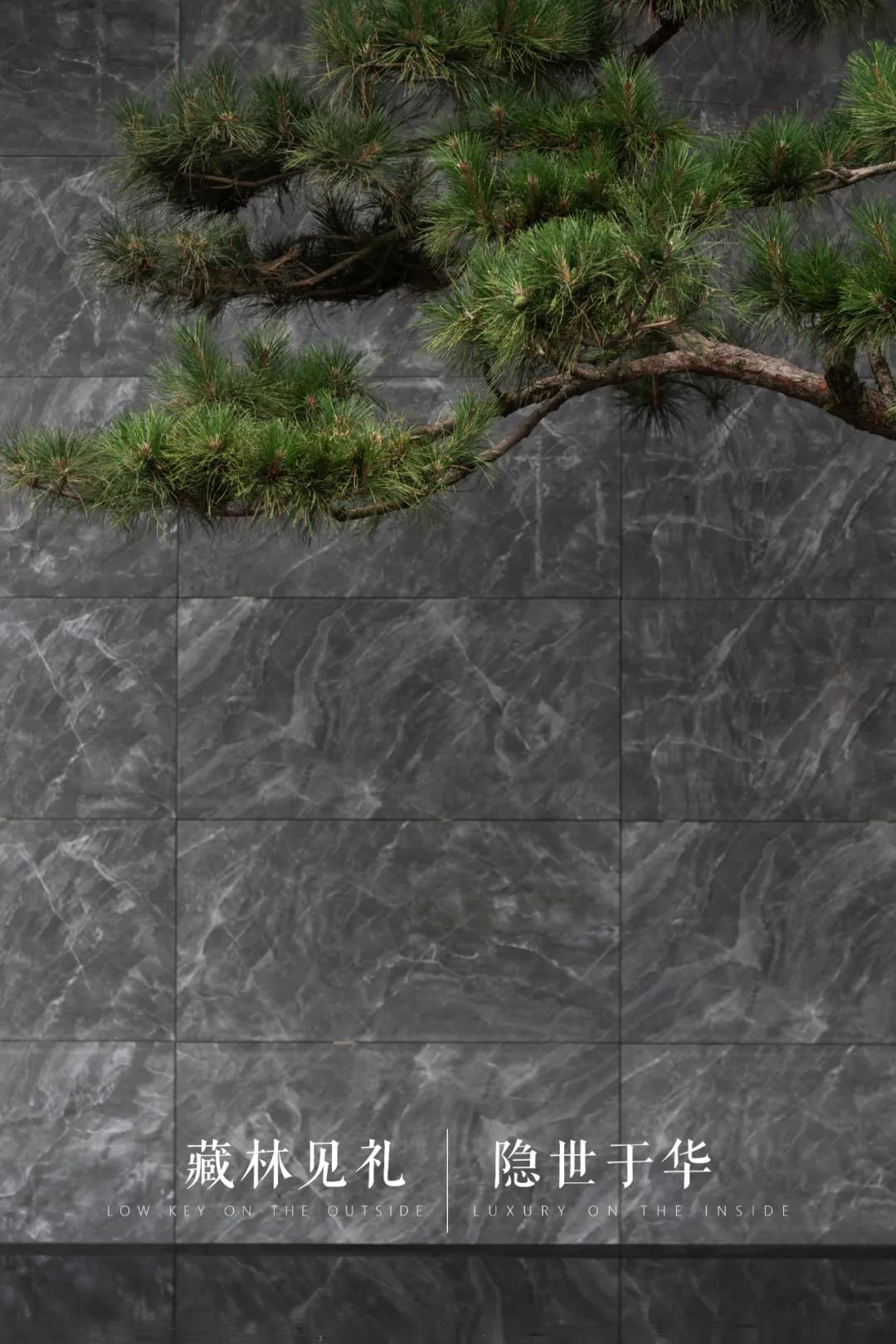 ��ʱ������(�й���)�������ǲ�!