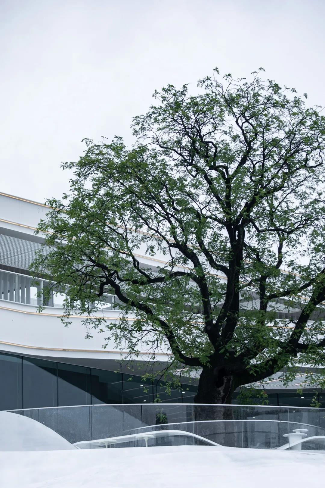 ��ʱ������(�й���)�������ǲ�!